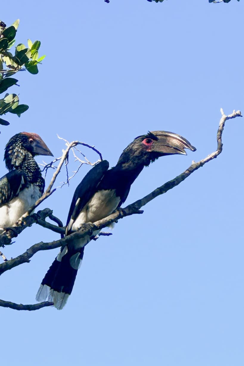 birdlife-dunes_side-image-03_819x1230_150dpi