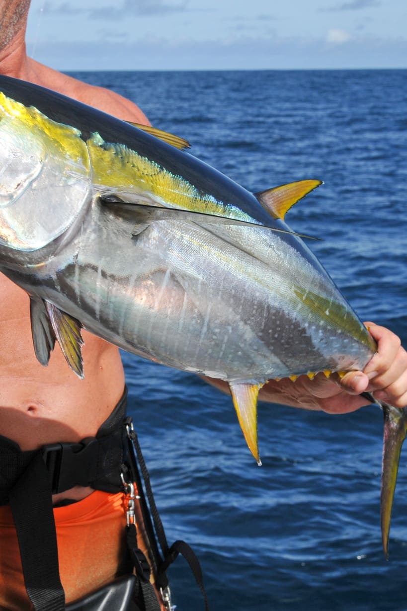 fishing_side-image-01_819x1230_150dpi